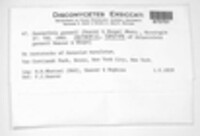 Image Associated With the Occurence